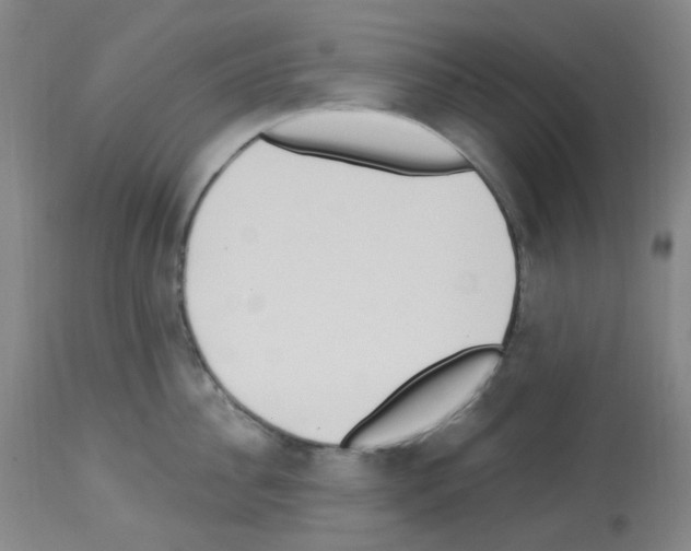 X0000112740956200910011217