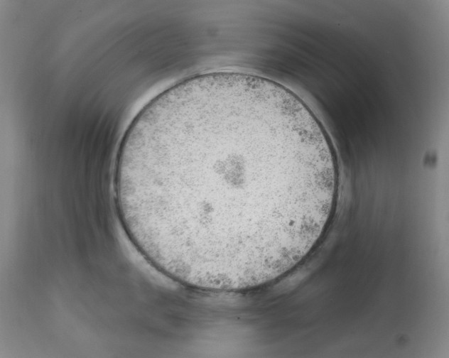 X0000112740957200910011217