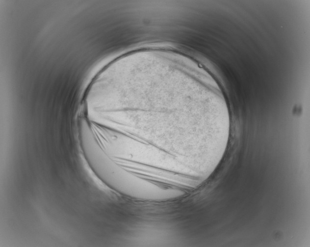 X0000112740959200910011217