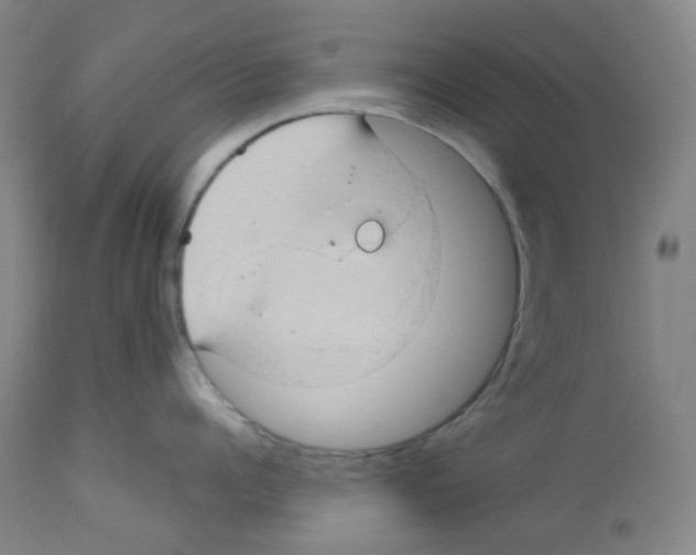 X0000112740960200910011217