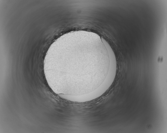 X0000112740961200910011217