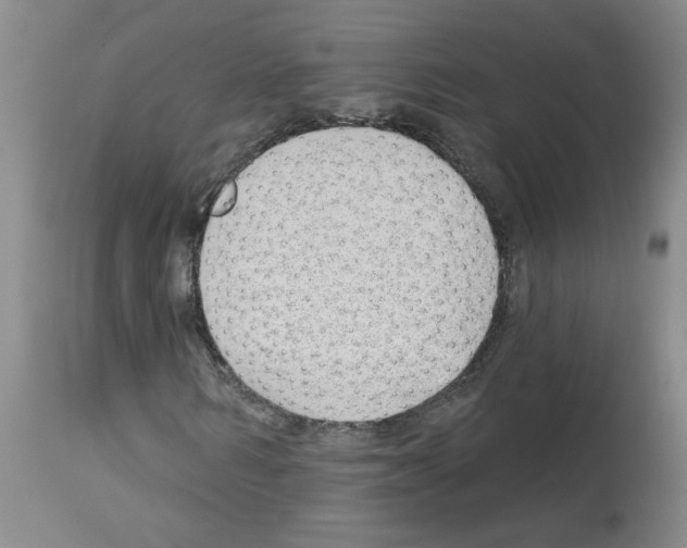 X0000112740962200910011217