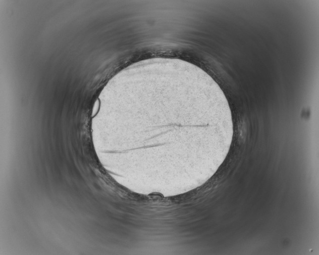 X0000112740964200910011217