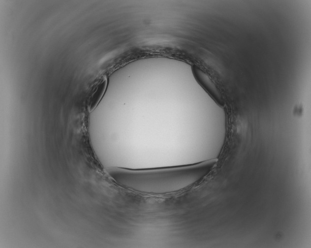 X0000112740965200910011217