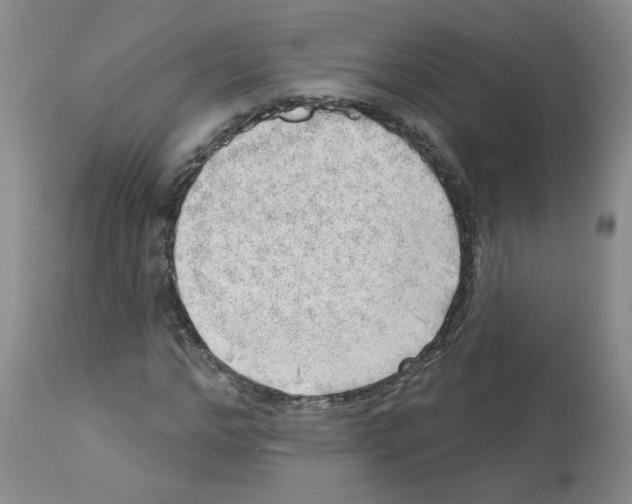 X0000112740968200910011217