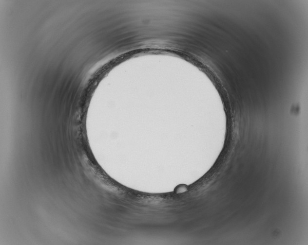 X0000112740971200910011217