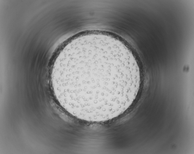 X0000112740974200910011216