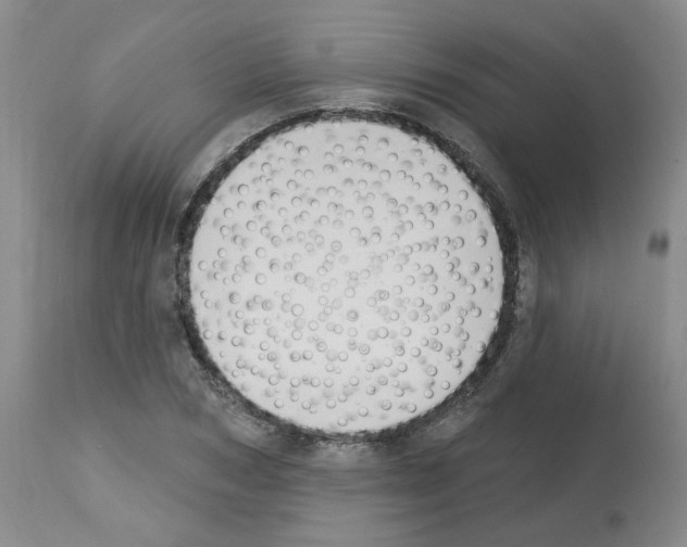 X0000112740978200910011216