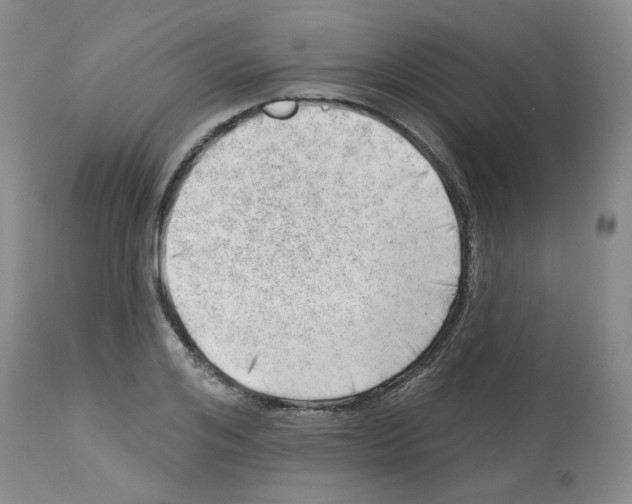 X0000112740984200910011216