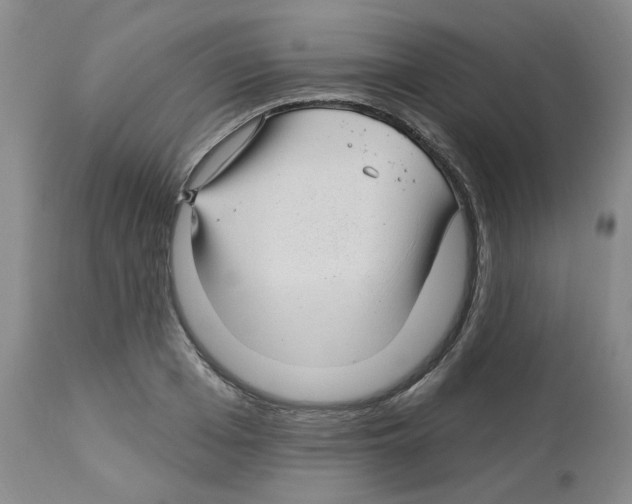 X0000112740985200910011216