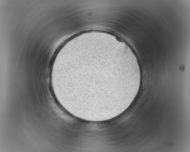 X0000112740987200910011216