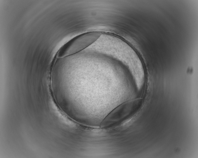 X0000112740989200910011216