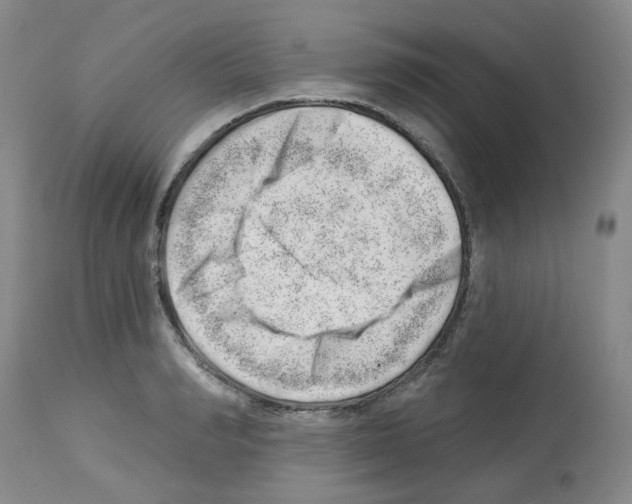 X0000112740990200910011216