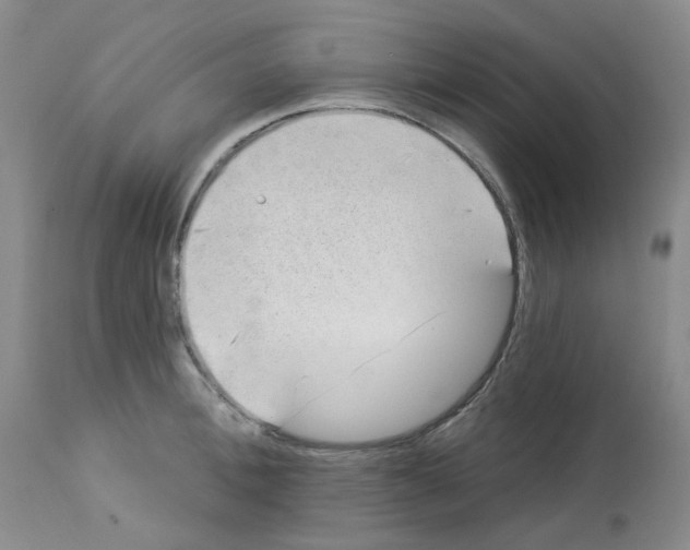 X0000112740996200910011216