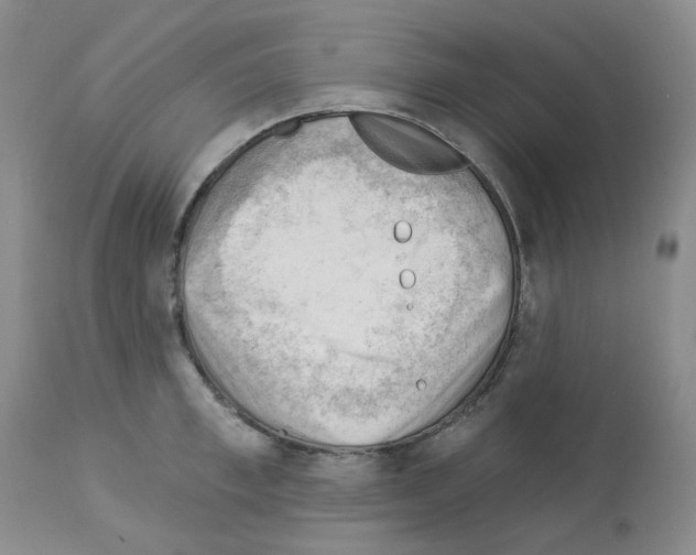 X0000112740997200910011216