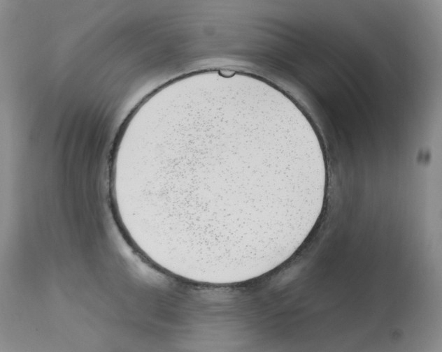 X0000112740999200910011216