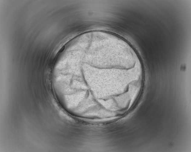 X0000112741001200910011216