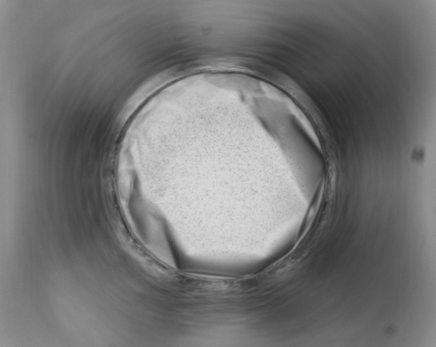 X0000112741002200910011216