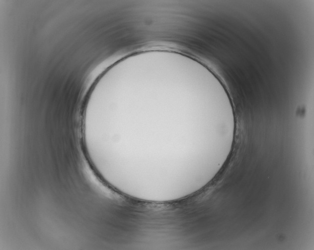 X0000112741003200910011216