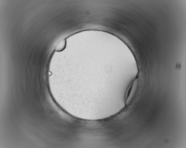 X0000112741007200910011216