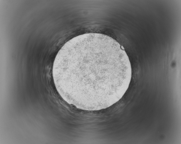 X0000112741010200910011215