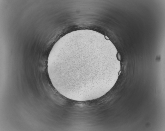 X0000112741012200910011215