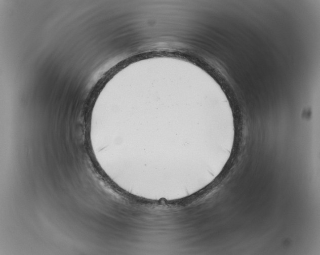 X0000112741018200910011215