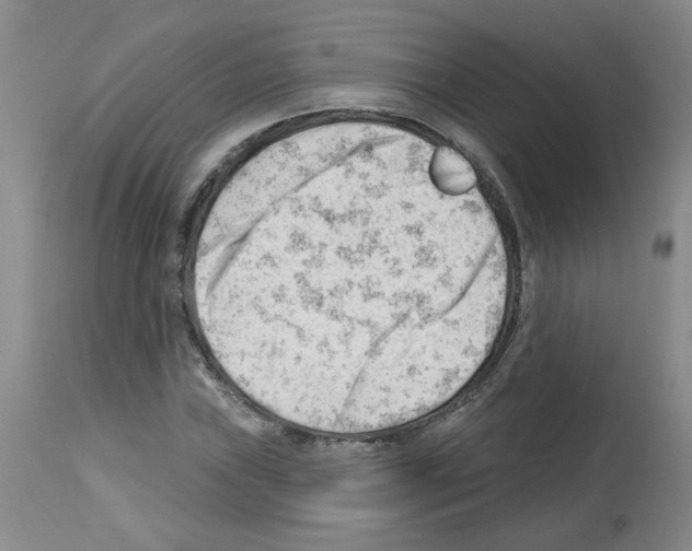 X0000112741019200910011216