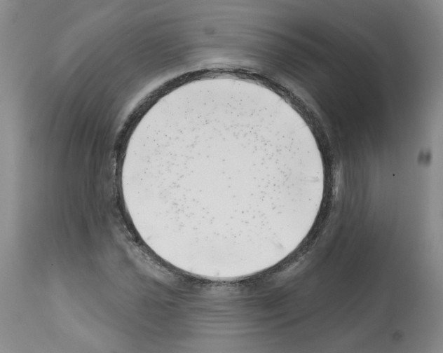 X0000112741021200910011216