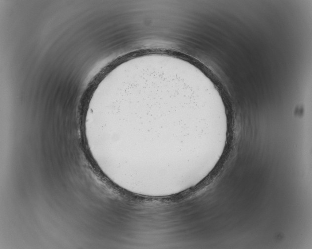 X0000112741022200910011216