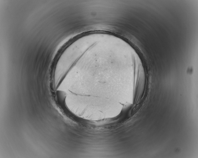 X0000112741024200910011216