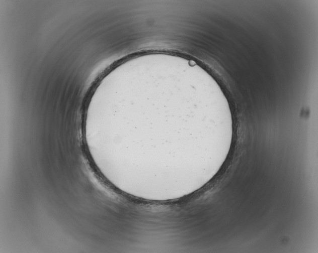 X0000112741030200910011216