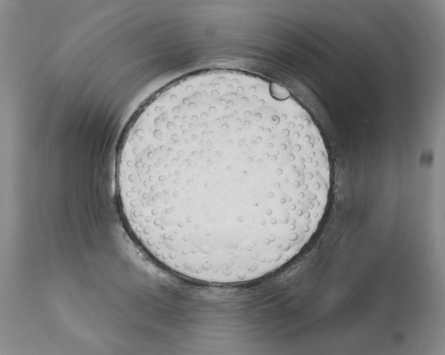 X0000112741036200910011216