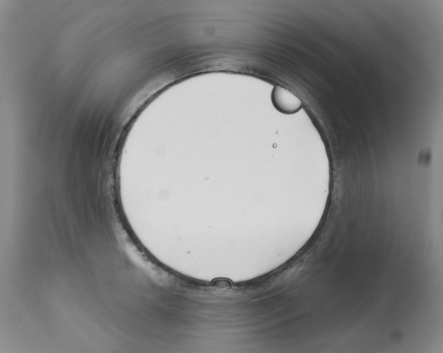 X0000112741042200910011216