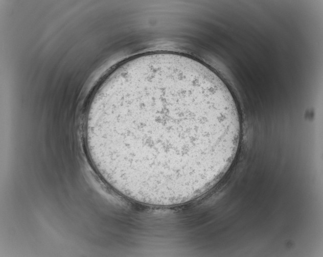 X0000112741043200910011216