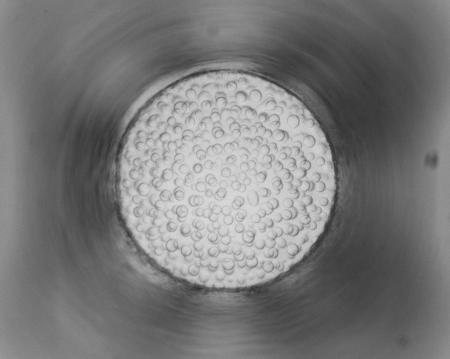 X0000112741044200910011216