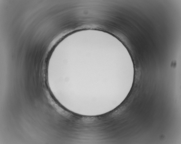 X0000112741046200910011216