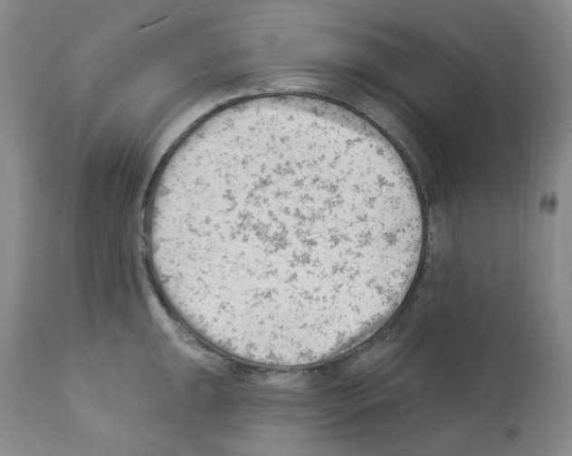 X0000112741047200910011216