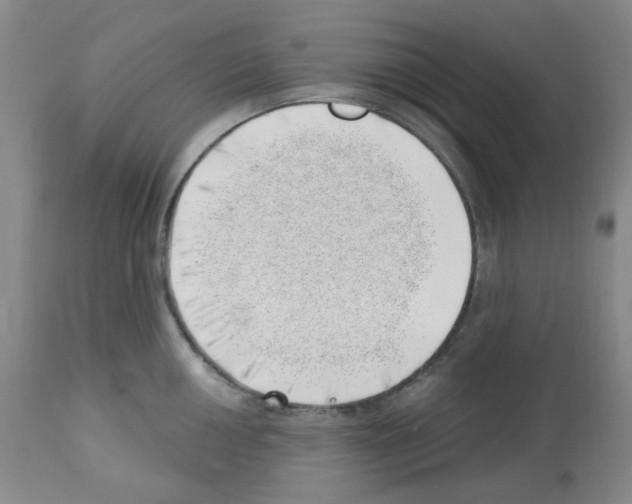 X0000112741050200910011216