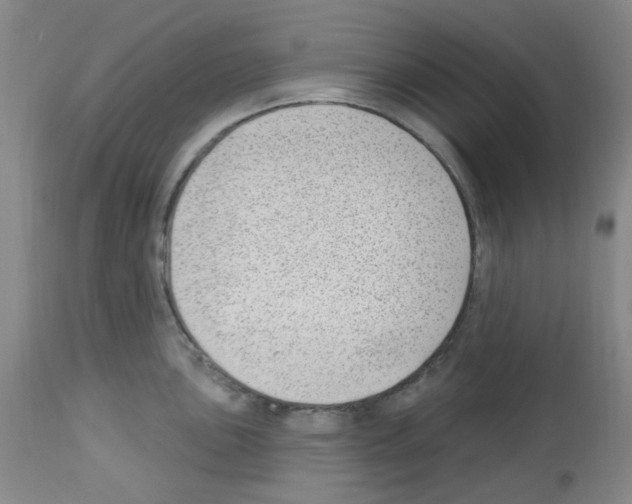 X0000112741051200910011216