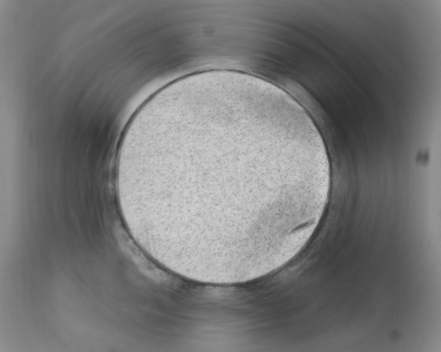 X0000112741052200910011216