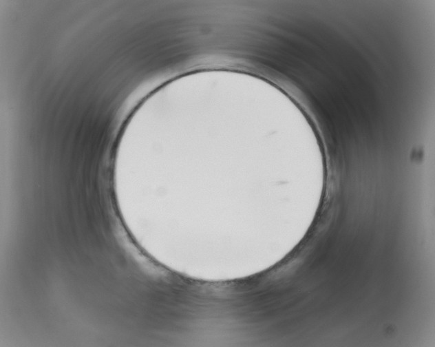 X0000112741053200910011216