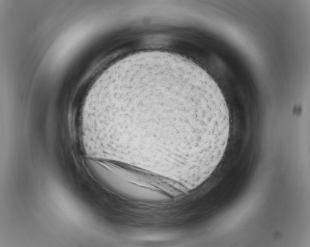 X0000112741054200910011216