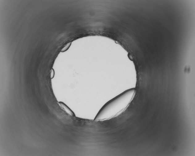 X0000112741057200910011215