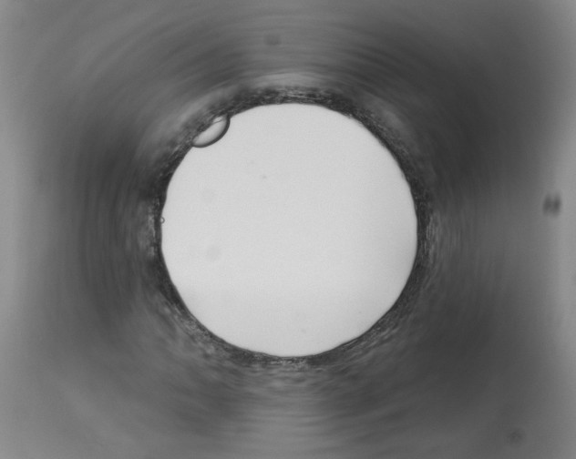 X0000112741062200910011215