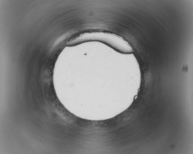 X0000112741064200910011215