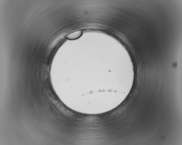 X0000112741067200910011215