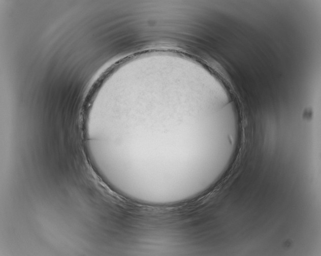 X0000112741068200910011215