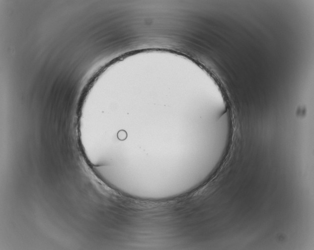 X0000112741072200910011215