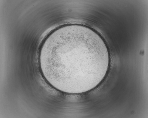 X0000112741074200910011215